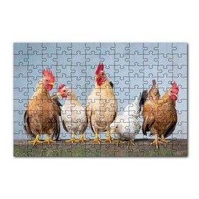 Cakapuzzle Duvarın Üstünde Kahverengi Beyaz Tavuklar 120 Parça Ahşap Puzzle