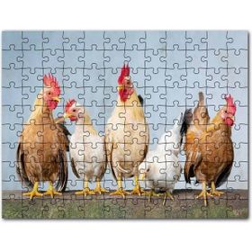 Cakapuzzle Duvarın Üstünde Kahverengi Beyaz Tavuklar Mdf 1000 Parça Puzzle