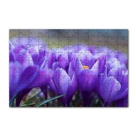 Cakapuzzle Eflatun Renkli Çiçekler Yakın Çekim 120 Parça Ahşap Puzzle