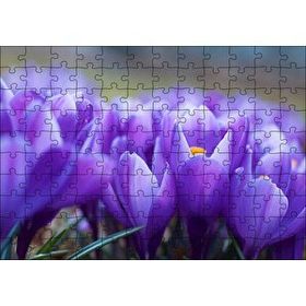 Cakapuzzle Eflatun Renkli Çiçekler Yakın Çekim 120 Parça Ahşap Puzzle