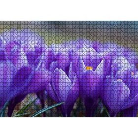 Cakapuzzle Eflatun Renkli Çiçekler Yakın Çekim Mdf 1000 Parça Puzzle