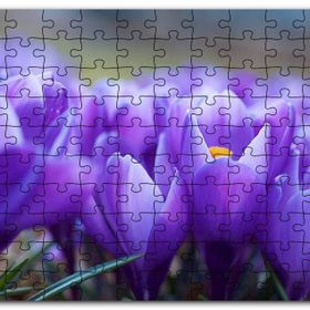 Cakapuzzle Eflatun Renkli Çiçekler Yakın Çekim Mdf 120 Parça Puzzle
