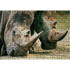 Cakapuzzle Efsanevi Gergedanlar Yakın Çekim 120 Parça Ahşap Puzzle