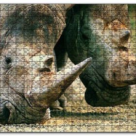 Cakapuzzle Efsanevi Gergedanlar Yakın Çekim Mdf 120 Parça Puzzle