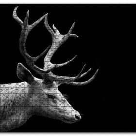 Cakapuzzle Efsanevi Geyik Yakın Çekim Karanlık Arkaplan Mdf 255 Parça Puzzle