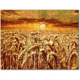 Cakapuzzle Eğilmiş Buğday Başakları ve Günbatımı Mdf 1000 Parça Puzzle