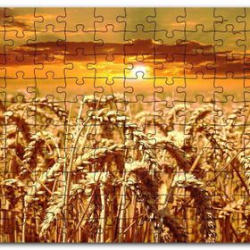 Cakapuzzle Eğilmiş Buğday Başakları ve Günbatımı Mdf 255 Parça Puzzle