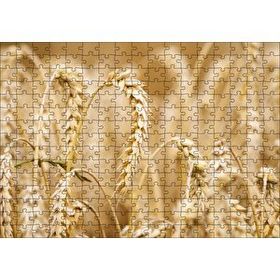 Cakapuzzle Eğilmiş Buğday Başakları Yakın Çekim 120 Parça Ahşap Puzzle