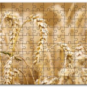 Cakapuzzle Eğilmiş Buğday Başakları Yakın Çekim Mdf 500 Parça Puzzle