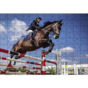 Cakapuzzle Engelleri Aşmak 120 Parça Ahşap Puzzle