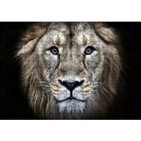 Cakapuzzle Erkek Aslan Siyah Zemin 120 Parça Ahşap Puzzle