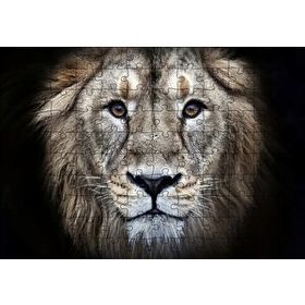 Cakapuzzle Erkek Aslan Siyah Zemin 120 Parça Ahşap Puzzle