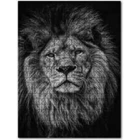 Cakapuzzle Erkek Aslan Yaşanmışlığın Izleri 120 Parça Puzzle