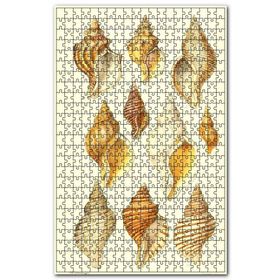 Cakapuzzle Eski Deniz Kabukları Çeşitleri Görseli Ahşap 1000 Parça Puzzle