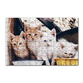 Cakapuzzle Eski Pencerede Sarı ve Beyaz Yavru Kediler 120 Parça Ahşap Puzzle