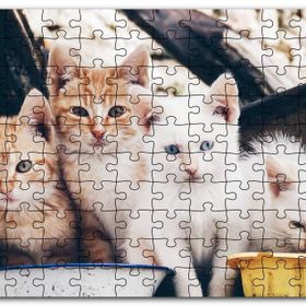 Cakapuzzle Eski Pencerede Sarı ve Beyaz Yavru Kediler Mdf 255 Parça Puzzle