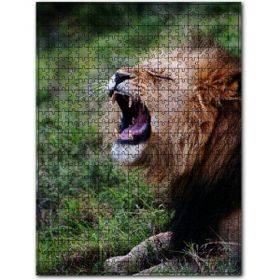 Cakapuzzle Esneyen Erkek Aslan Ahşap 500 Parça Puzzle