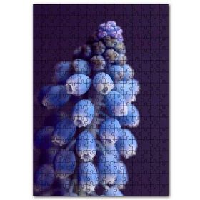 Cakapuzzle Eşsiz Güzellikteki Mor Sümbül Mdf 255 Parça Puzzle