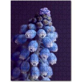 Cakapuzzle Eşsiz Güzellikteki Mor Sümbül Mdf 255 Parça Puzzle