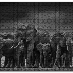 Cakapuzzle Filler Ailesi Ahşap 500 Parça Puzzle