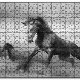 Cakapuzzle Fırtınada Koşan Atlar Görseli Mdf 1000 Parça Puzzle