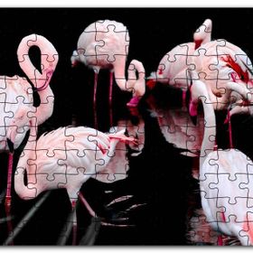 Cakapuzzle Flamigolar Karanlık Göl Arkaplan Mdf 120 Parça Puzzle