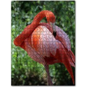 Cakapuzzle Flamingo Tüylerini Temizliyor 120 Parça Puzzle