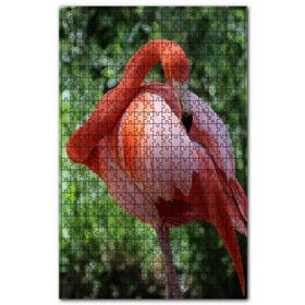 Cakapuzzle Flamingo Tüylerini Temizliyor Ahşap 1000 Parça Puzzle