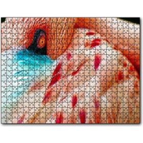 Cakapuzzle Flamingo Yakın Çekim 1000 Parça Puzzle