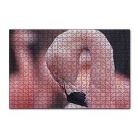 Cakapuzzle Flamingonun Zarafeti 120 Parça Ahşap Puzzle