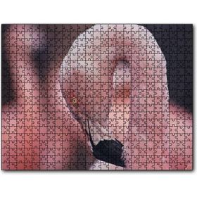 Cakapuzzle Flamingonun Zarafeti Mdf 500 Parça Puzzle