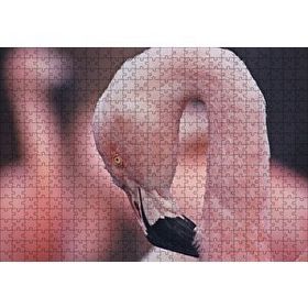 Cakapuzzle Flamingonun Zarafeti Mdf 500 Parça Puzzle