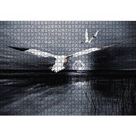 Cakapuzzle Gece Ay Göl Balıkçı Kuşları 1000 Parça Puzzle