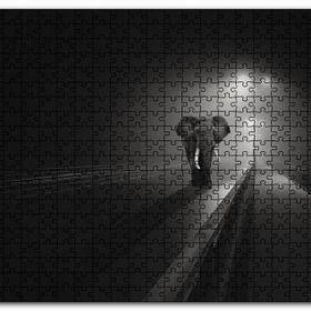 Cakapuzzle Gece Otoyol Sis ve Fil Ahşap 500 Parça Puzzle