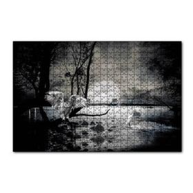 Cakapuzzle Gecede Balıkçı Kuşları Göl 120 Parça Ahşap Puzzle