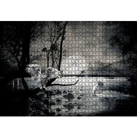 Cakapuzzle Gecede Balıkçı Kuşları Göl Ahşap 1000 Parça Puzzle