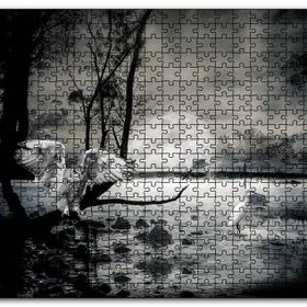 Cakapuzzle Gecede Balıkçı Kuşları Göl Ahşap 500 Parça Puzzle