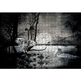 Cakapuzzle Gecede Balıkçı Kuşları Göl Ahşap 500 Parça Puzzle