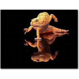 Cakapuzzle Geko Kertenkelesi Cam Zeminde Karanlık Arkaplan Mdf 255 Parça Puzzle