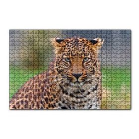 Cakapuzzle Genç Leopar 120 Parça Ahşap Puzzle