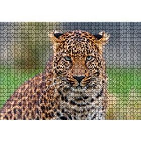 Cakapuzzle Genç Leopar 120 Parça Ahşap Puzzle