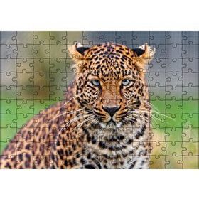 Cakapuzzle Genç Leopar 120 Parça Puzzle