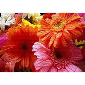 Cakapuzzle Gerbera Çiçekleri Turunculu Pembeli 120 Parça Ahşap Puzzle