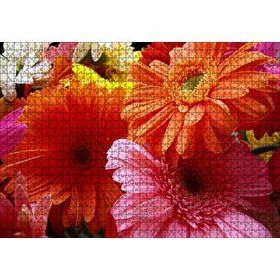 Cakapuzzle Gerbera Çiçekleri Turunculu Pembeli Mdf 1000 Parça Puzzle