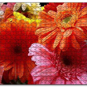 Cakapuzzle Gerbera Çiçekleri Turunculu Pembeli Mdf 500 Parça Puzzle