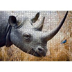 Cakapuzzle Gergedan Başı Yakın Çekim Mdf 1000 Parça Puzzle
