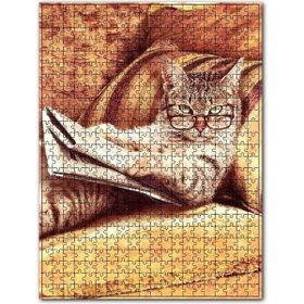Cakapuzzle Gezete Okuyan Kedi Desenli Görsel 120 Parça Puzzle