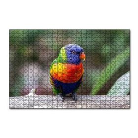 Cakapuzzle Gökkuşağı Lorikeet Papağanı 120 Parça Ahşap Puzzle