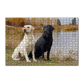 Cakapuzzle Göl Kenarındaki Beyaz ve Siyah Labradorlar 120 Parça Ahşap Puzzle