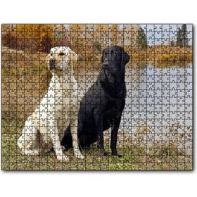 Cakapuzzle Göl Kenarındaki Beyaz ve Siyah Labradorlar Mdf 120 Parça Puzzle